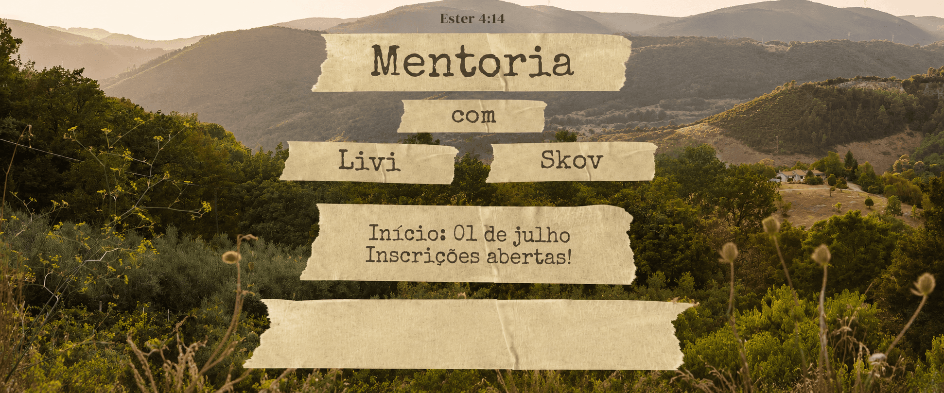 Mentoria com Livi Skov